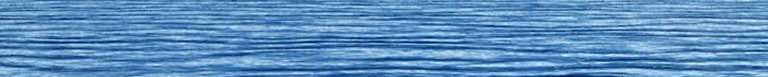 hwlogo.jpg (8581 bytes)